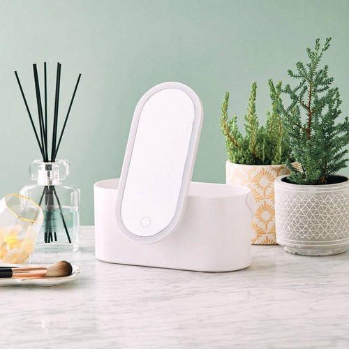 Portable Makeup Organizer with LED Light & Mirror