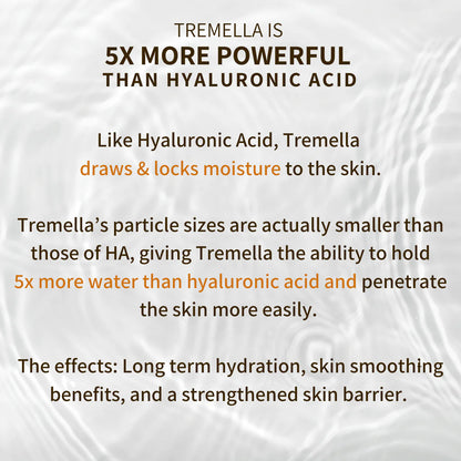 Tremella & Reishi Mushroom Face Oil Serum - by Fungi Guru