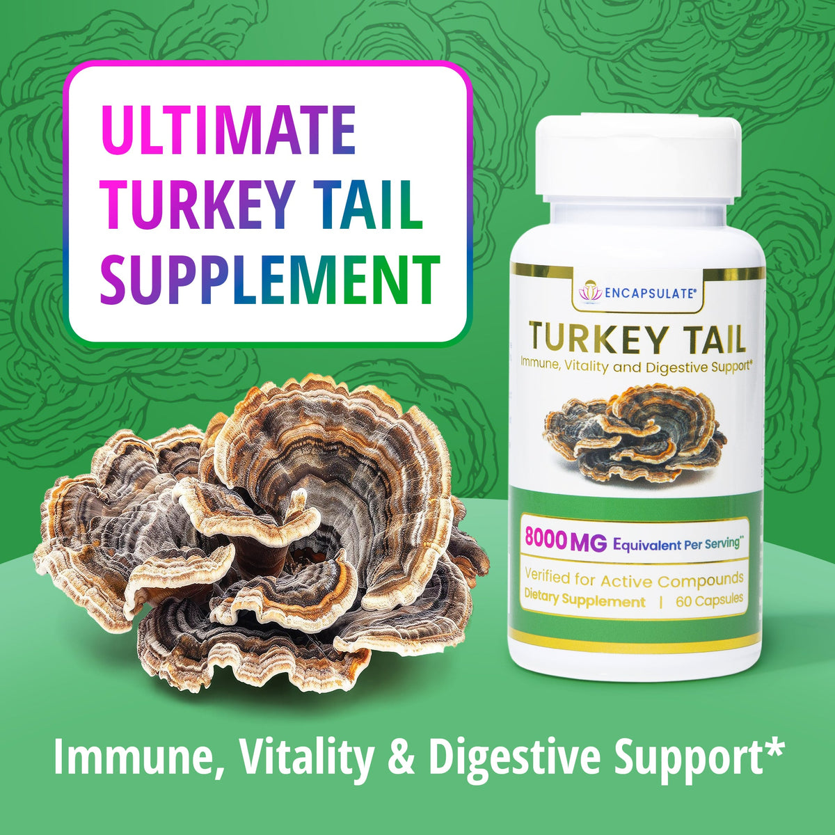 Turkey Tail Mushroom 8:1 Extract – 30%+ Beta-Glucans | 60 Capsules