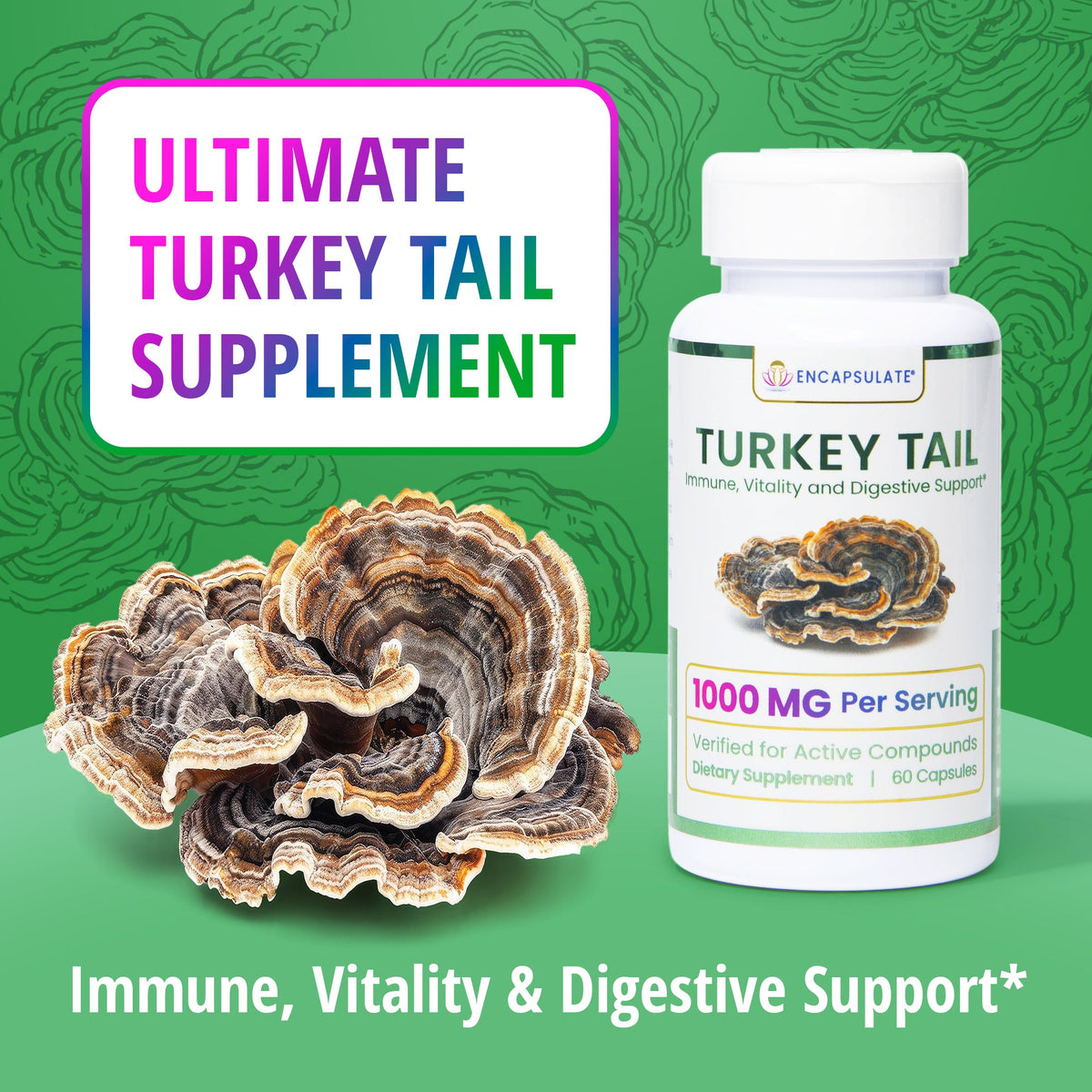 Turkey Tail 1:1 Extract – 45%+ Beta-Glucans | 60 Capsules