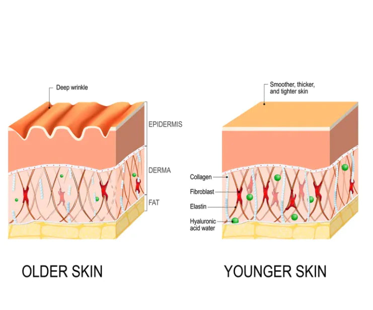 Rejuvenatig Serum