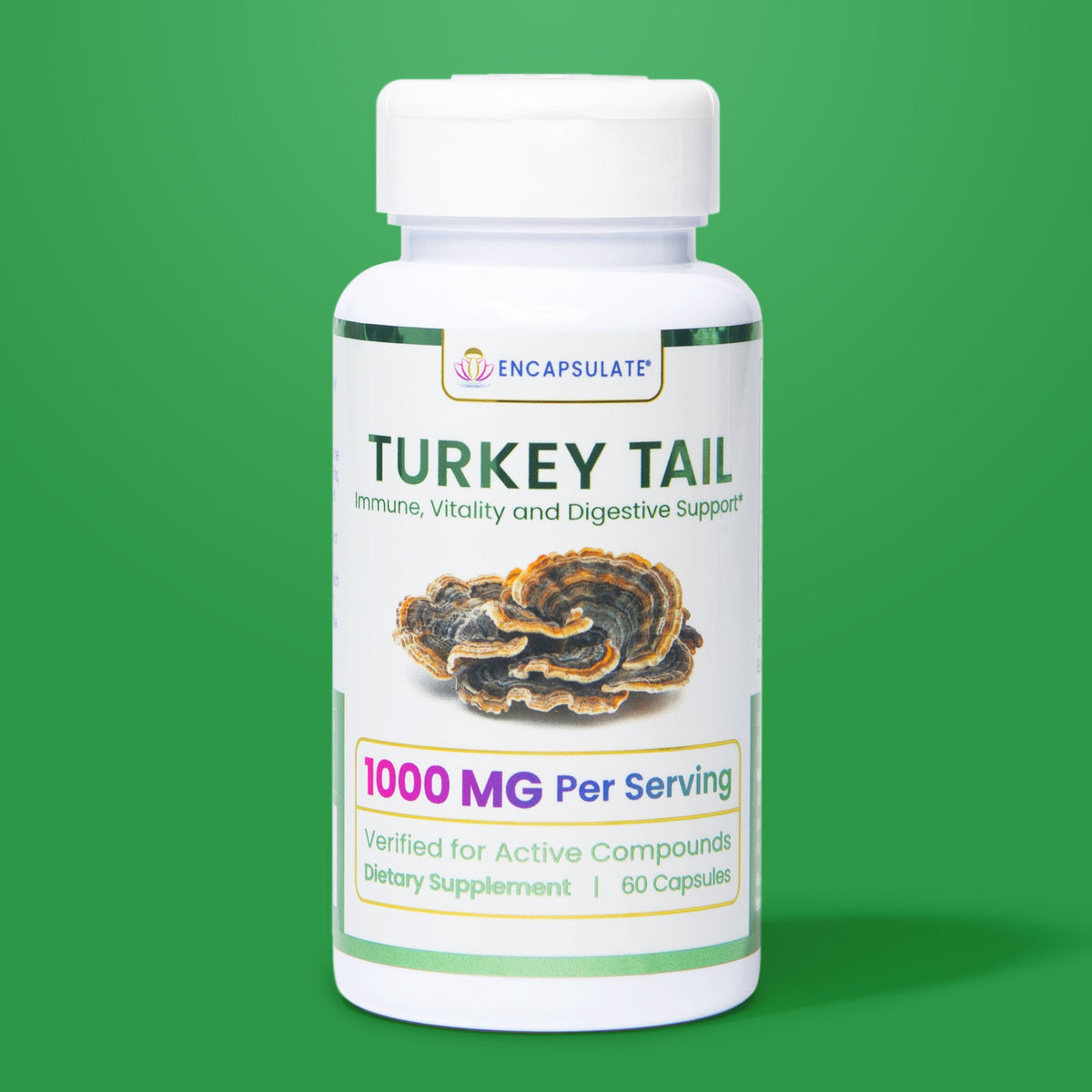 Turkey Tail 1:1 Extract – 45%+ Beta-Glucans | 60 Capsules